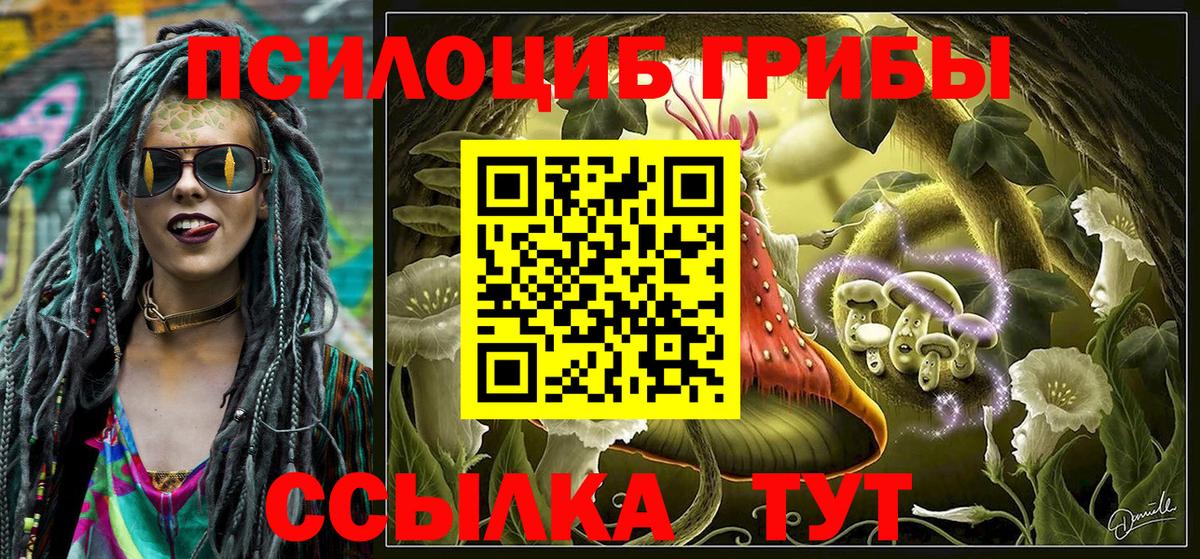 как найти наркотики  Новошахтинск  Псилоцибиновые грибы мицелий 