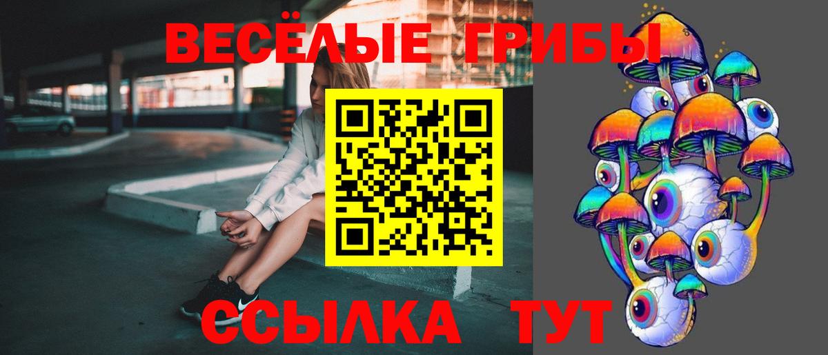 Галлюциногенные грибы MAGIC MUSHROOMS Новошахтинск